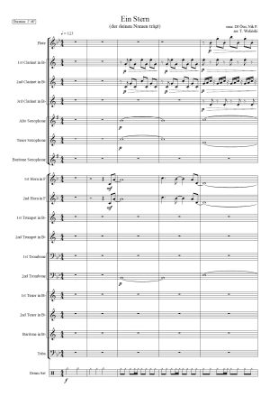 Ein Stern (...der deinen Namen trägt)